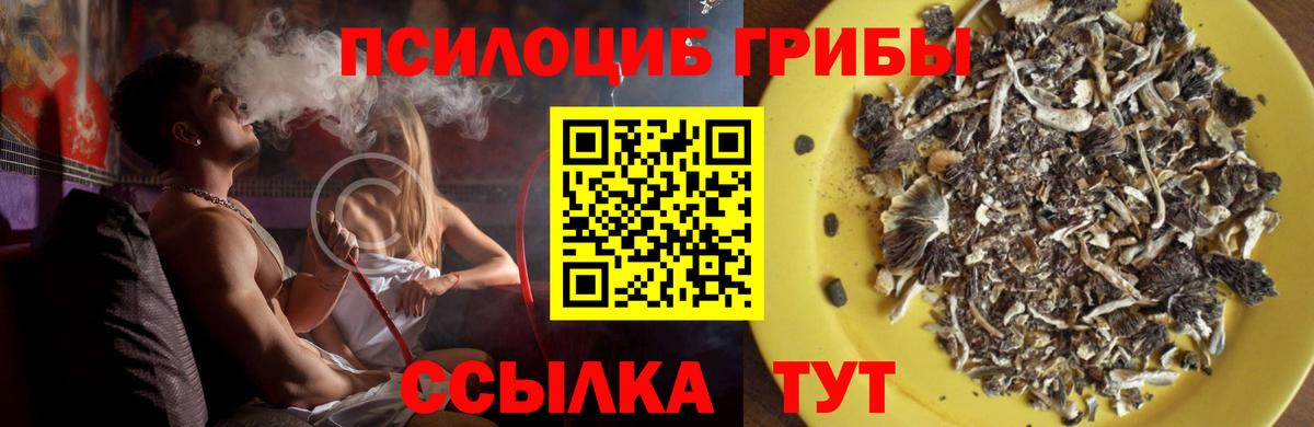 Бутират Гагарин